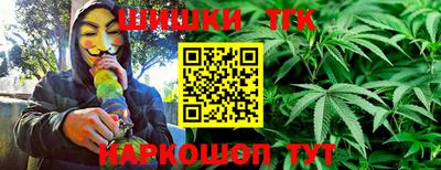 амф Новозыбков