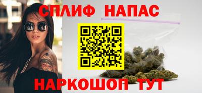амф Новозыбков